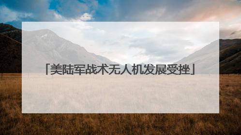 美陆军战术无人机发展受挫