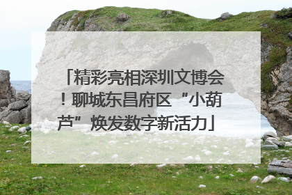 精彩亮相深圳文博会！聊城东昌府区“小葫芦”焕发数字新活力