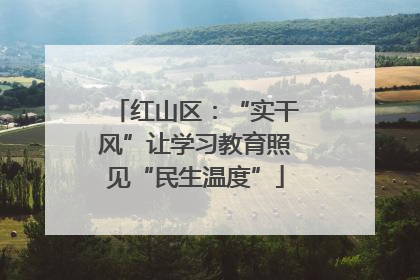 红山区：“实干风”让学习教育照见“民生温度”