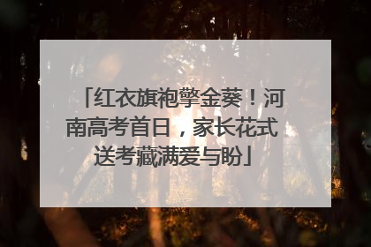 红衣旗袍擎金葵！河南高考首日，家长花式送考藏满爱与盼