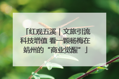 红观五溪｜文旅引流 科技增值 看一颗杨梅在靖州的“商业觉醒”