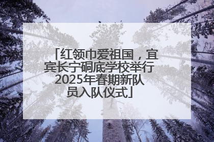 红领巾爱祖国，宜宾长宁硐底学校举行2025年春期新队员入队仪式