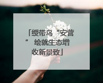 绶带鸟“安营” 绘就生态增收新景致