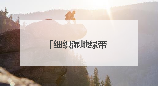 细织湿地绿带 厚结“文旅明珠”——中法武汉生态示范城挖掘绿色发展新动能