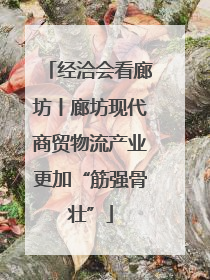经洽会看廊坊丨廊坊现代商贸物流产业更加“筋强骨壮”