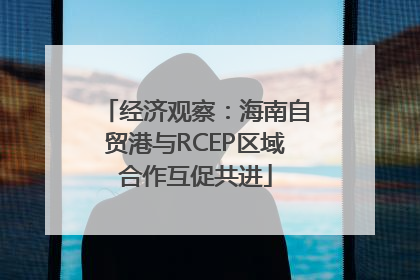 经济观察：海南自贸港与RCEP区域合作互促共进