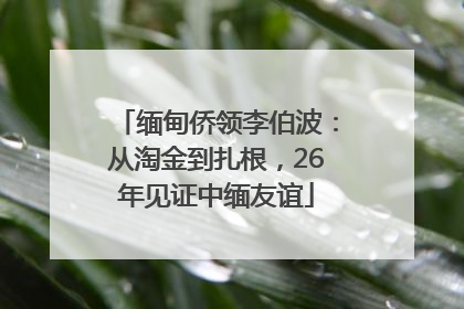 缅甸侨领李伯波：从淘金到扎根，26年见证中缅友谊