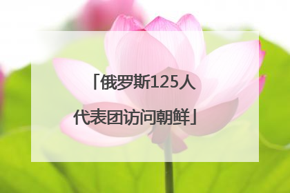 俄罗斯125人代表团访问朝鲜