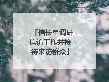 信长星调研信访工作并接待来访群众