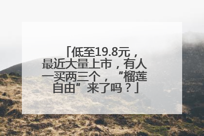 低至19.8元，最近大量上市，有人一买两三个，“榴莲自由”来了吗？