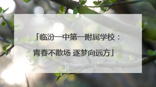 临汾一中第一附属学校：青春不散场 逐梦向远方