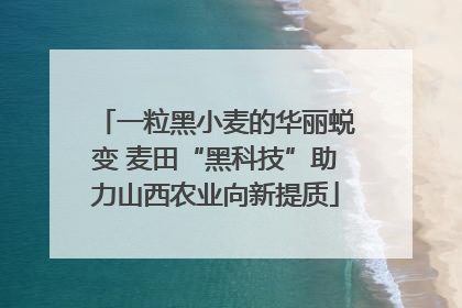 一粒黑小麦的华丽蜕变 麦田“黑科技”助力山西农业向新提质