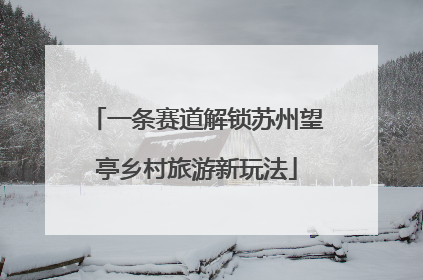 一条赛道解锁苏州望亭乡村旅游新玩法