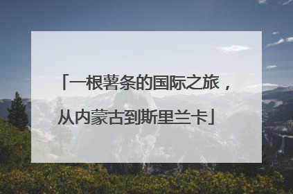 一根薯条的国际之旅，从内蒙古到斯里兰卡