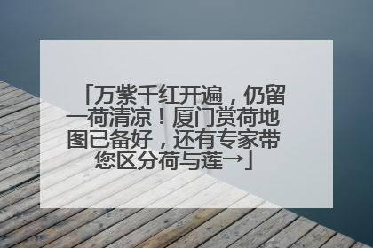 万紫千红开遍，仍留一荷清凉！厦门赏荷地图已备好，还有专家带您区分荷与莲→