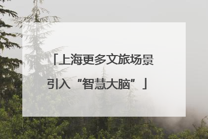 上海更多文旅场景引入“智慧大脑”