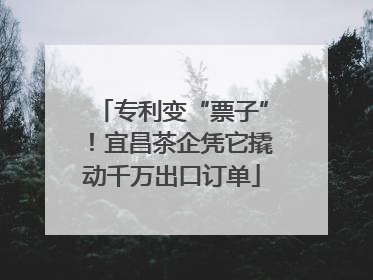 专利变“票子”！宜昌茶企凭它撬动千万出口订单