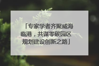 专家学者齐聚威海临港，共谋零碳园区规划建设创新之路