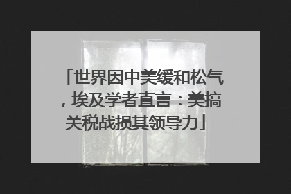 世界因中美缓和松气，埃及学者直言：美搞关税战损其领导力