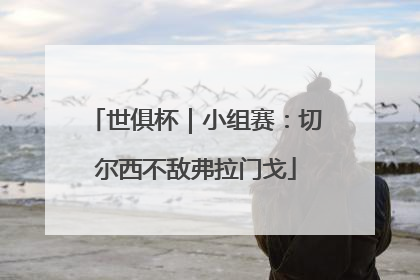 世俱杯｜小组赛：切尔西不敌弗拉门戈