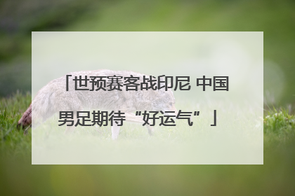 世预赛客战印尼 中国男足期待“好运气”