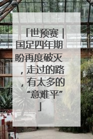 世预赛｜国足四年期盼再度破灭，走过的路，有太多的“意难平”