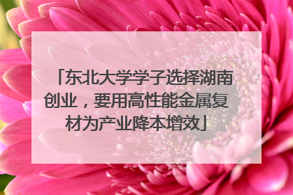 东北大学学子选择湖南创业，要用高性能金属复材为产业降本增效