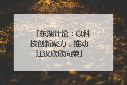 东湖评论：以科技创新聚力，推动江汉欣欣向荣