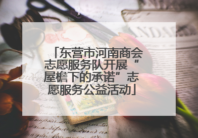 东营市河南商会志愿服务队开展“屋檐下的承诺”志愿服务公益活动