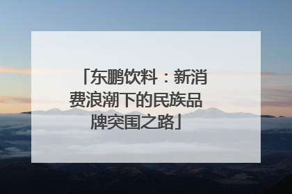 东鹏饮料：新消费浪潮下的民族品牌突围之路