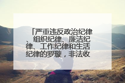 严重违反政治纪律、组织纪律、廉洁纪律、工作纪律和生活纪律的罗璇，非法收受他人巨额财物
