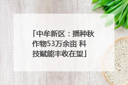 中牟新区：播种秋作物53万余亩 科技赋能丰收在望