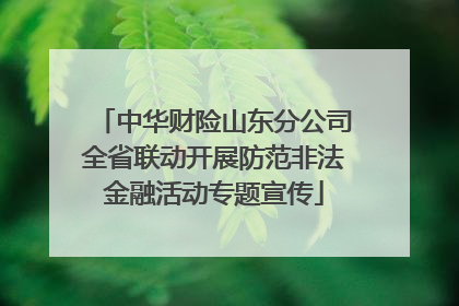 中华财险山东分公司全省联动开展防范非法金融活动专题宣传