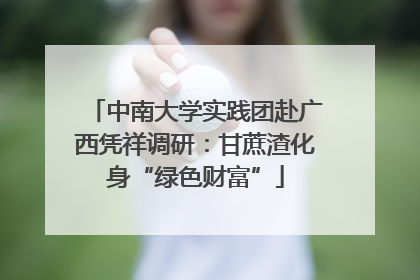 中南大学实践团赴广西凭祥调研：甘蔗渣化身“绿色财富”