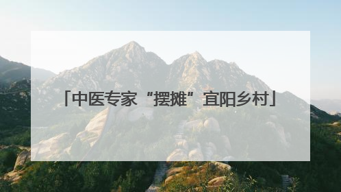 中医专家“摆摊”宜阳乡村