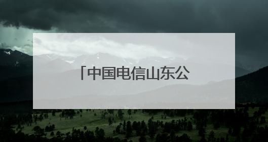 中国电信山东公司：筑牢数字新基建基座 引领万兆光网新时代