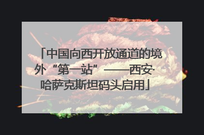 中国向西开放通道的境外“第一站”——西安·哈萨克斯坦码头启用