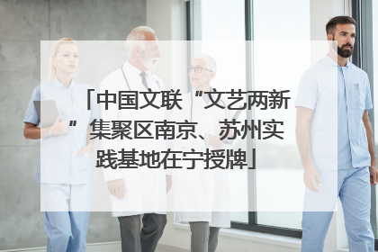 中国文联“文艺两新”集聚区南京、苏州实践基地在宁授牌