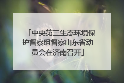 中央第三生态环境保护督察组督察山东省动员会在济南召开