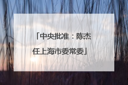 中央批准：陈杰任上海市委常委