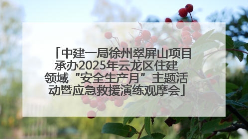 中建一局徐州翠屏山项目承办2025年云龙区住建领域“安全生产月”主题活动暨应急救援演练观摩会