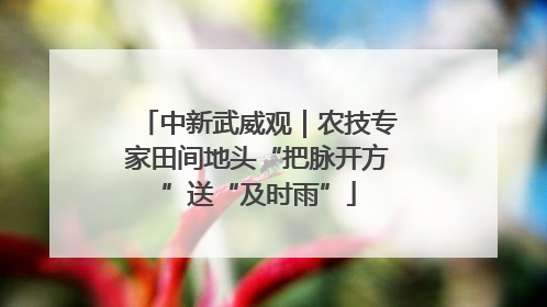 中新武威观｜农技专家田间地头“把脉开方”送“及时雨”