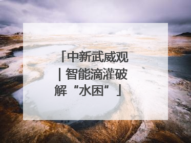 中新武威观｜智能滴灌破解“水困”