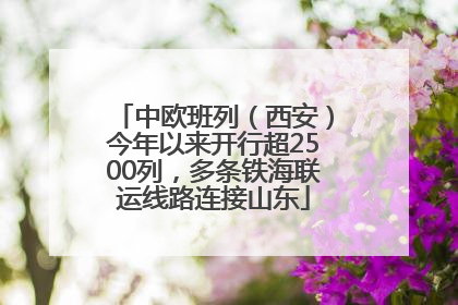 中欧班列（西安）今年以来开行超2500列，多条铁海联运线路连接山东