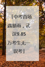 中考首场遇暴雨，武汉9.85万考生无一误考