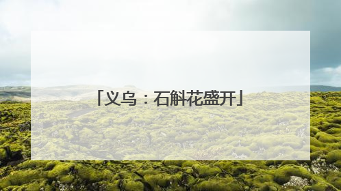 义乌：石斛花盛开