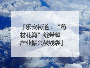 乐安街道：“药材花海”绽希望 产业振兴鼓钱袋