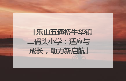 乐山五通桥牛华镇二码头小学：适应与成长，助力新启航