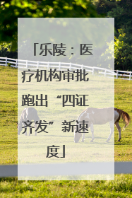 乐陵：医疗机构审批跑出“四证齐发”新速度