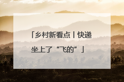 乡村新看点丨快递坐上了“飞的”